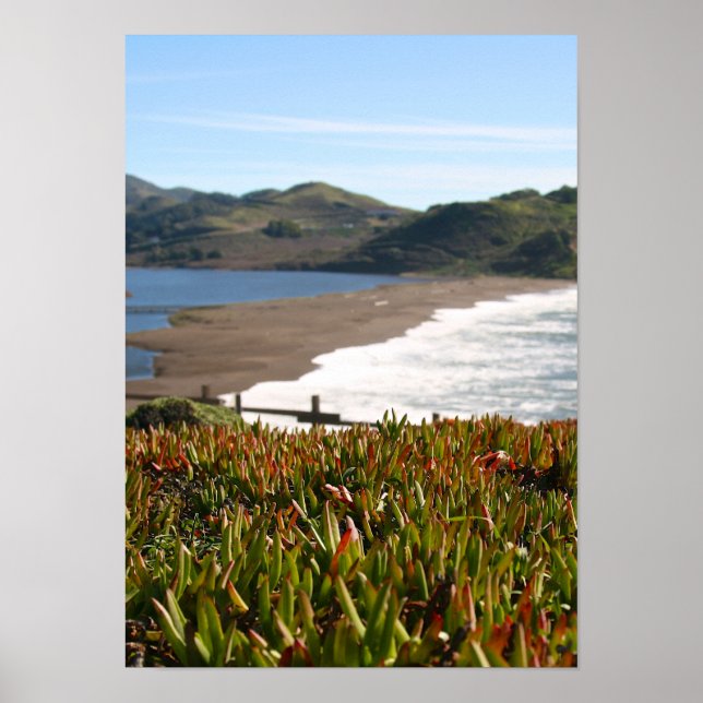 Póster Planta de hielo, playa, olas (retrato) (Frente)