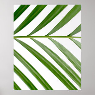 Póster Planta de hoja verde durante el día