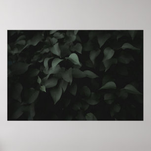 PÓSTER PLANTA DE HOJAS VERDE