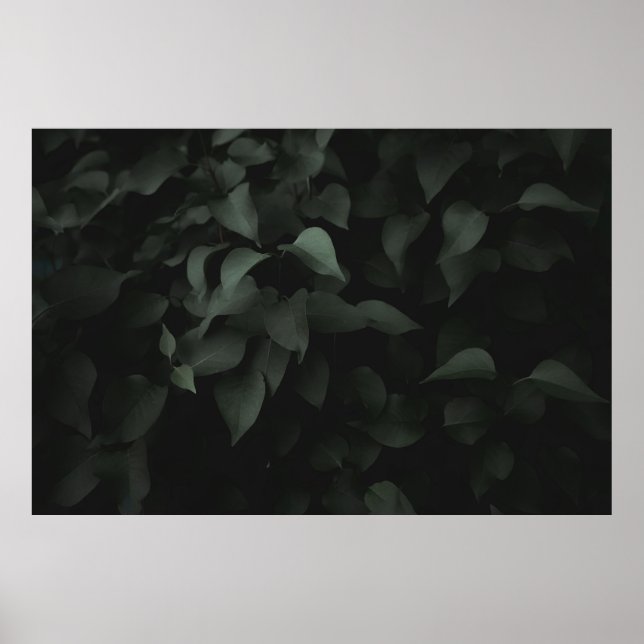 PÓSTER PLANTA DE HOJAS VERDE (Frente)