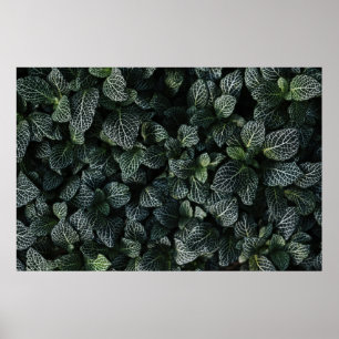 PÓSTER PLANTA DE HOJAS VERDE Y BLANCA