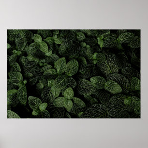 PÓSTER PLANTA DE HOJAS VERDE Y BLANCA