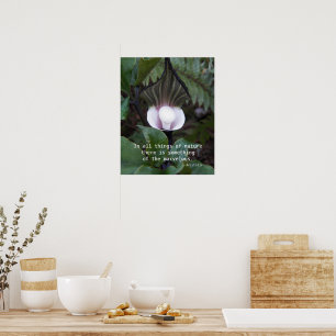 Póster Planta de Jack-in-the-Pulpit Cita de Aristóteles s