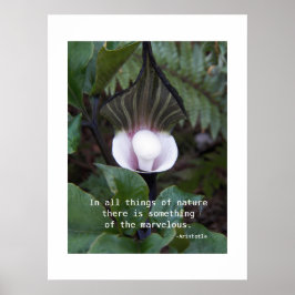 Póster Planta de Jack-in-the-Pulpit Cita de Aristóteles s