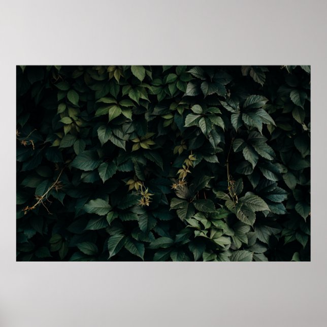PÓSTER PLANTA DE LIBERACIÓN VERDE (Frente)
