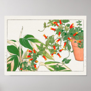 Póster Planta de oraciones, petardo por Tanigami Konan