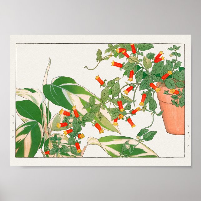 Póster Planta de oraciones, petardo por Tanigami Konan (Frente)