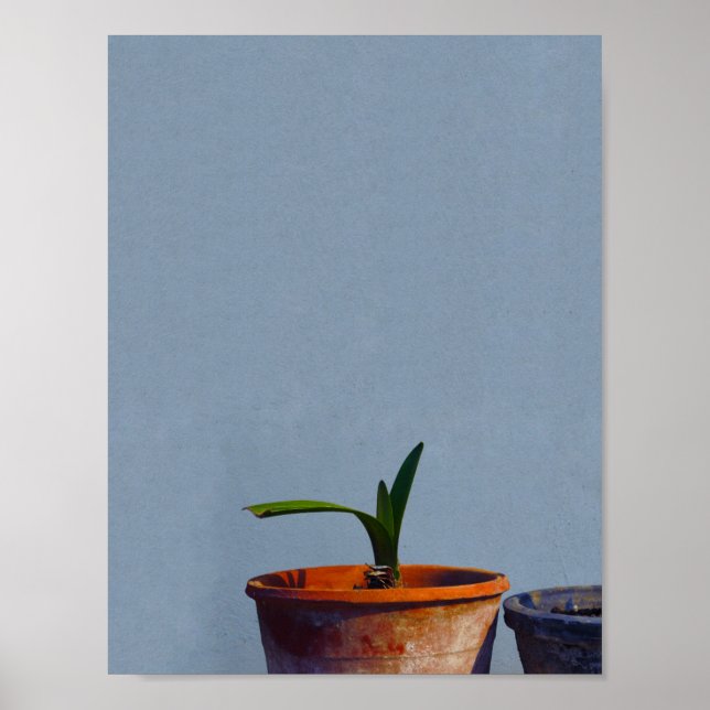 Póster Planta en la olla (Frente)