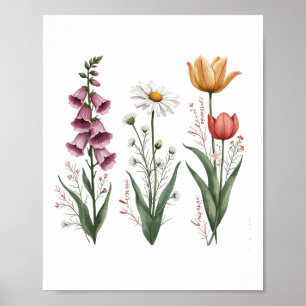 Póster Planta floral vintage encantada Foxglove Daisy Tul