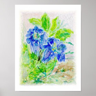 Póster Planta flores azules ilustraciones