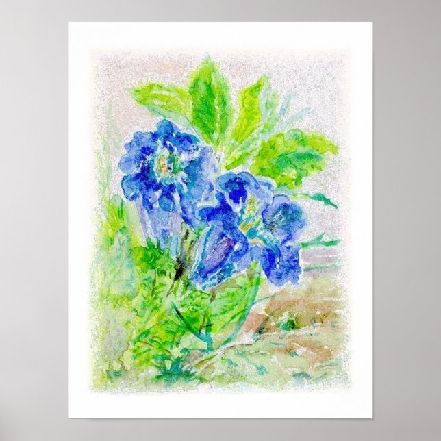 Póster Planta flores azules ilustraciones (Frente)