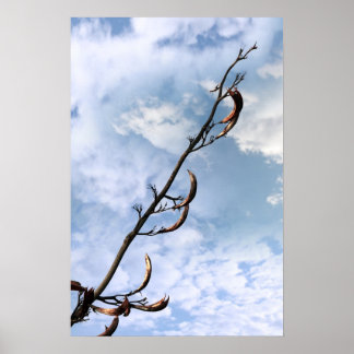 Póster planta invasiva perrenal japonesa knotweed