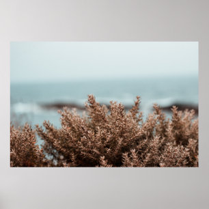 PÓSTER PLANTA MARRÓN EN FOTOGRAFÍA CERRADA