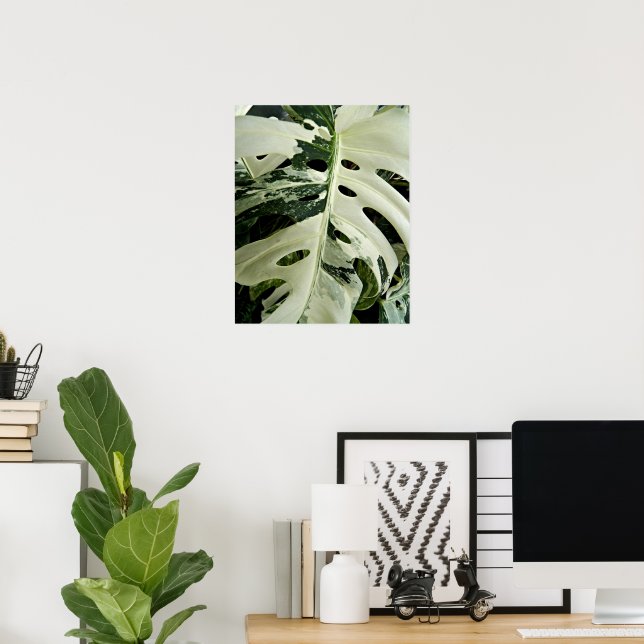 Póster Planta Monstera Abigarrada Botánica (Oficina en casa)
