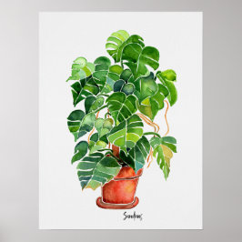 Póster Planta Monstera de acuarela en olla