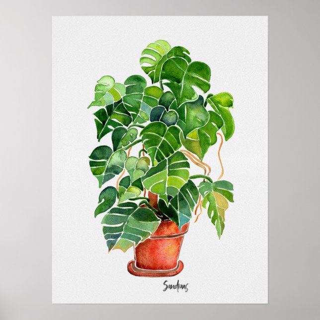 Póster Planta Monstera de acuarela en olla (Frente)