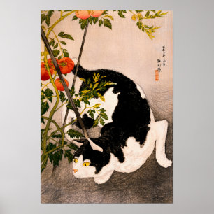 Póster Planta negra de gato y tomate por Takahashi Hiroak