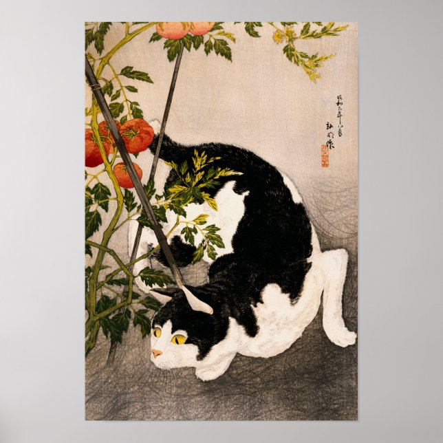 Póster Planta negra de gato y tomate por Takahashi Hiroak (Frente)