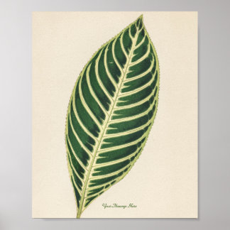 Póster Planta personalizada de hojas verdes