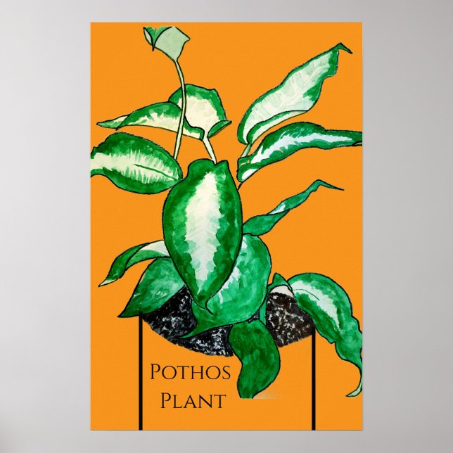 Póster Planta Pothos  (Frente)