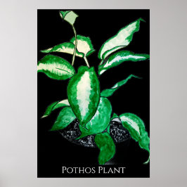 Póster Planta Pothos 