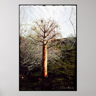 Póster Planta seca de fertilidad en Tayikistán