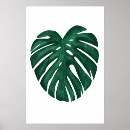 Póster Planta tropical de hoja de Monstera