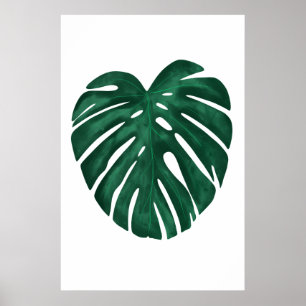 Póster Planta tropical de hoja de Monstera