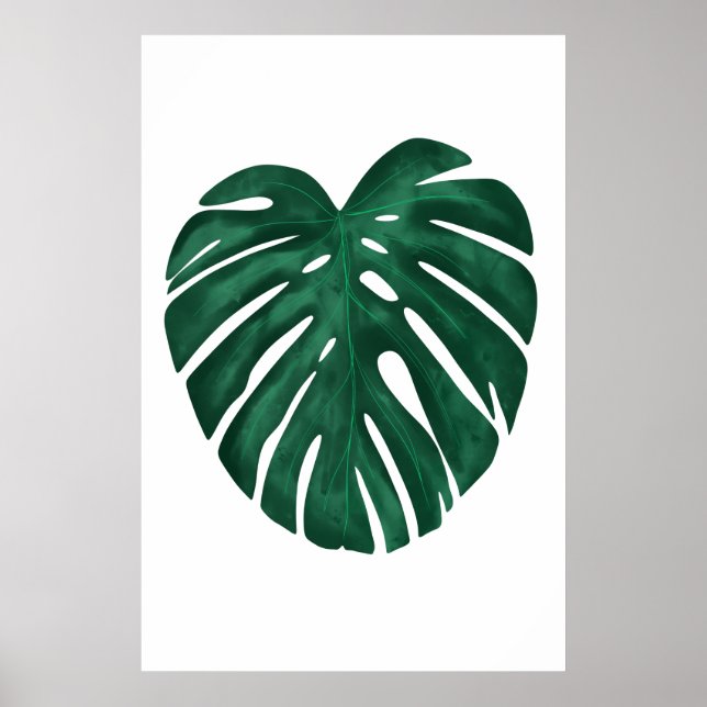 Póster Planta tropical de hoja de Monstera (Frente)