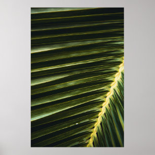 Póster Planta verde