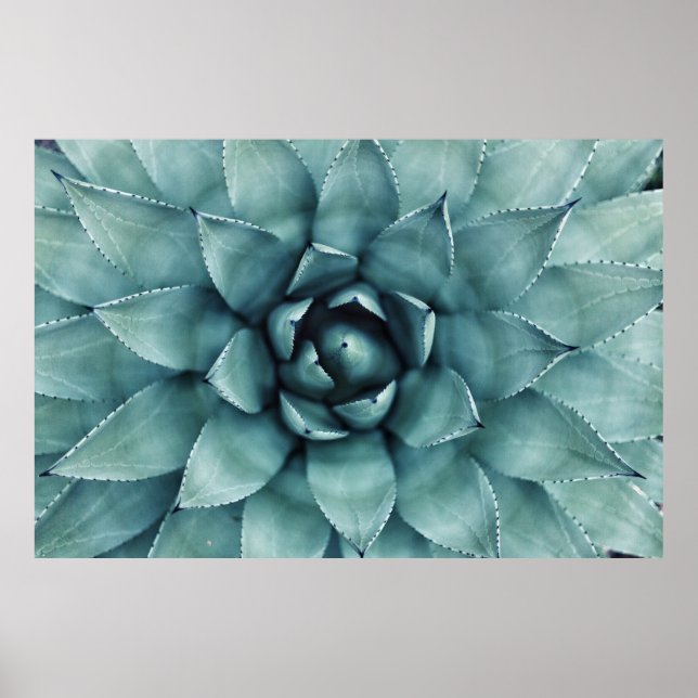 Póster Planta verde arbolada (Frente)