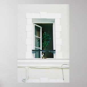 PÓSTER PLANTA VERDE EN LA VENTANA BLANCA