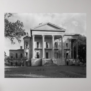 Póster Plantación Belle Grove