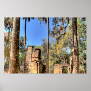 Póster Plantación Bulow, Florida