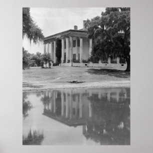 Póster Plantación de Greenwood