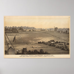 Póster Plantación del arándano de la fragua de Stafford,