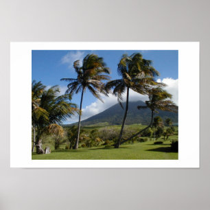 Póster Plantación del St. San Cristobal