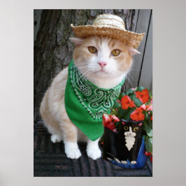 Póster Plantar algo