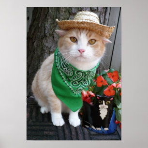 Póster Plantar algo