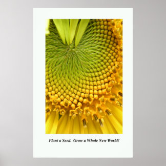 Póster Plantar una semilla. ¡Crecer un mundo completament