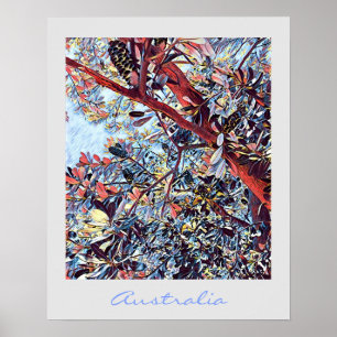 Póster Plantas autóctonas de Banksia