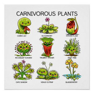 Póster Plantas carnívoras lindas