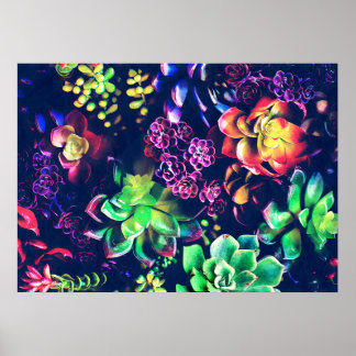 Póster Plantas Coloridas