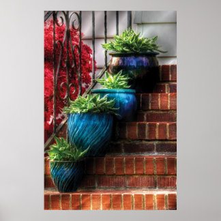 Póster Plantas - Cuatro ollas azules