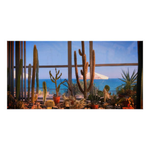 Póster Plantas de cactus y mar