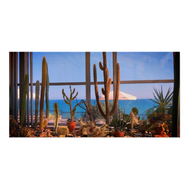 Póster Plantas de cactus y mar (Anverso)