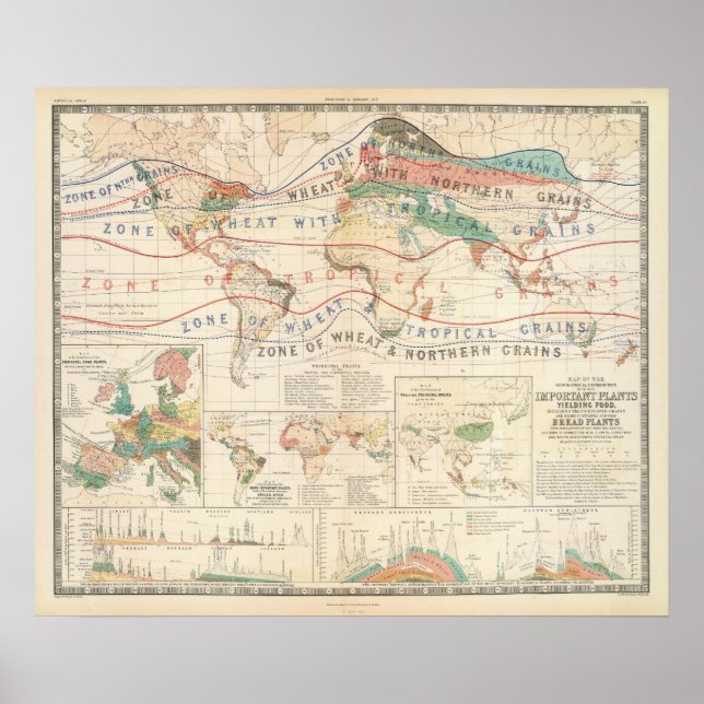 Póster Plantas de distribución (Frente)