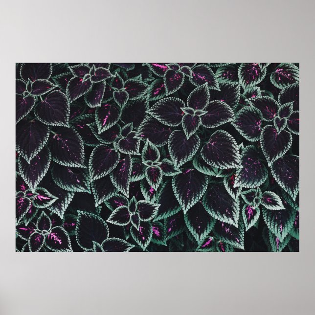 Póster Plantas de hoja verde y marrón (Frente)