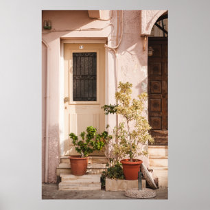 PÓSTER PLANTAS DE HOJAS VERDES