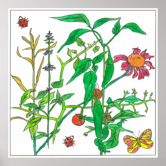 Póster Plantas de jardín deflían mariposa de mariposa de